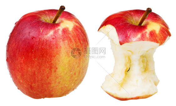 苹果核心和整个富有的苹果在白色图片