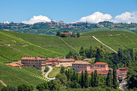 意大利北部皮埃蒙特山丘和葡萄园建筑群图片