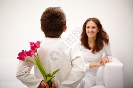 带着一帮漂亮的郁金香背后为他母亲准备惊图片