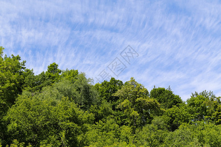 绿山和晴朗的天空背景图片