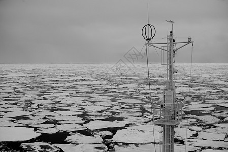 桅杆外的黑白海冰图片