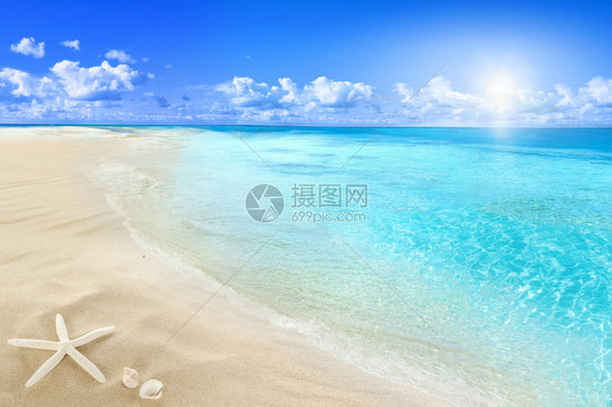 在阳光明媚的沙滩上图片