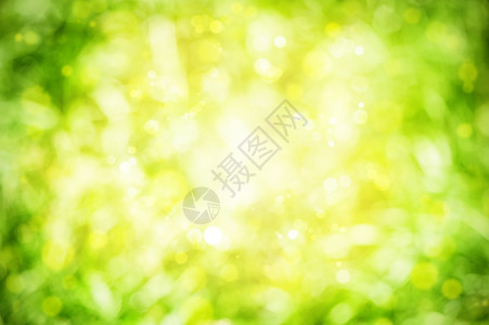 摘要夏季绿色黄色和白色背景图片