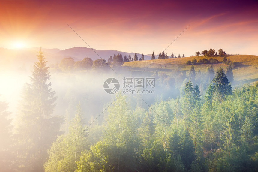 揭开阳光灿烂的日子