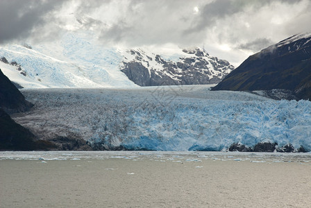 智利南巴塔哥尼亚阿玛利亚冰川贼鸥冰川贝尔纳多奥希图片