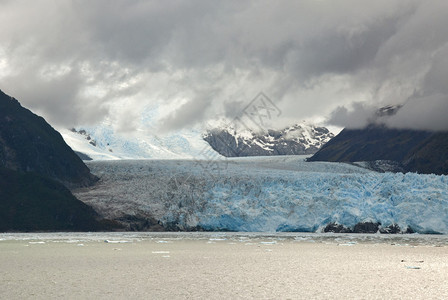 智利南巴塔哥尼亚阿玛利亚冰川贼鸥冰川贝尔纳多奥希图片