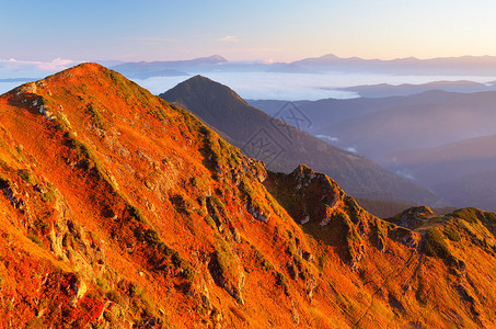 秋天风景山坡上有红草山上图片