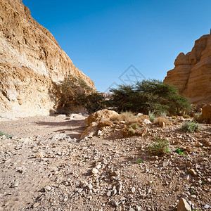 西岸犹太沙漠的峡谷Insta图片