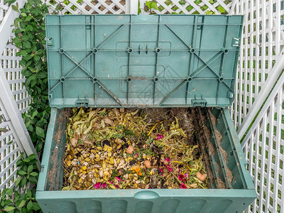 装满有机和家用食品废料的绿图片