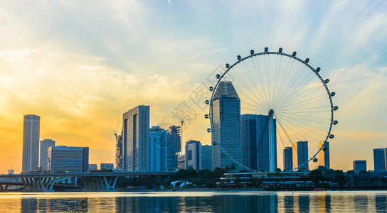 新加坡飞轮是世界上最大图片