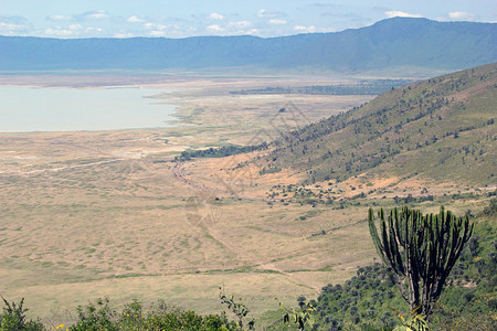 坦桑尼亚恩戈龙罗保护区全景图片