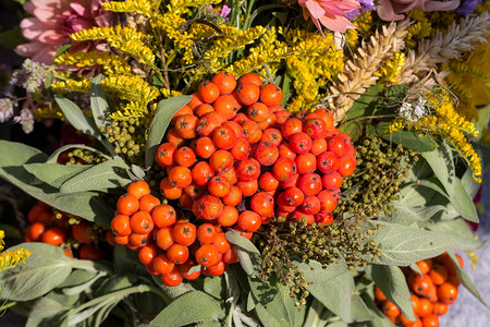 美丽的鲜花和香草花束图片