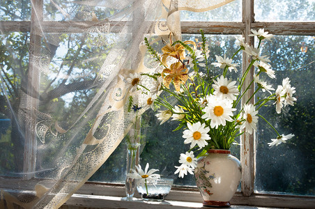 窗台上的洋甘菊花束图片