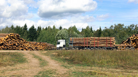 大型木材运输船的原木运输图片