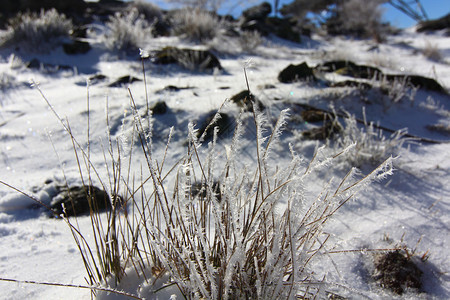 山间积雪图片