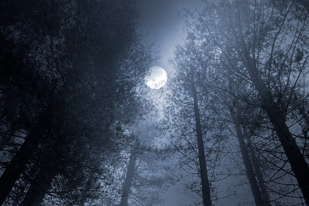 在雾密的满月图片