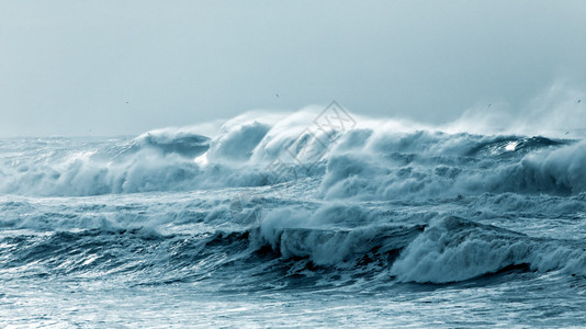 大海浪在暴风雨和雾日冲图片