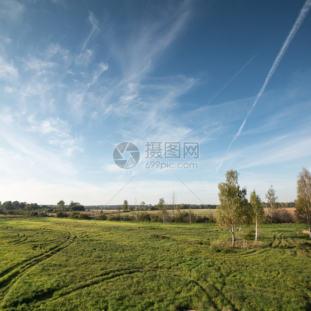 带有田地和蓝天空及平面足图片