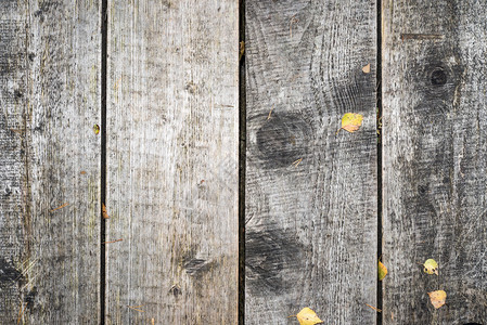 用秋叶盖的旧木板背景图片