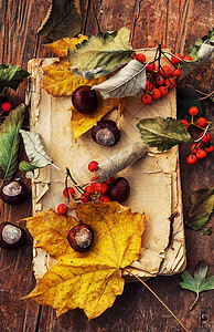 木桌上的秋天落叶图片