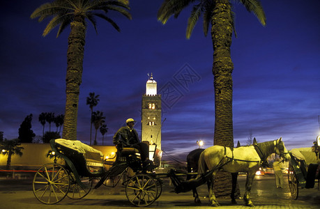 北非摩洛哥老城马拉喀什的Koutoubia图片
