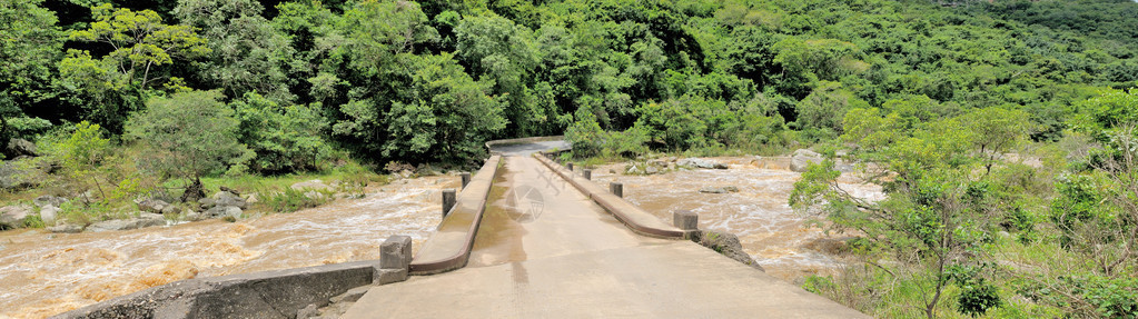奥里比峡谷自然保护区的Mzimkulwana河桥图片
