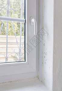 室内墙壁和窗框上潮湿模质上图片