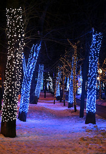 莫斯科树木和建筑的冬季图片