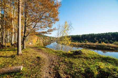 乡村森林中的秋季彩色旅游图片