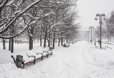 冬季公园里满是新鲜白雪乌图片