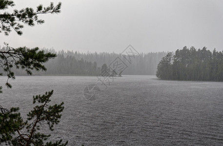 森林湖夏季强降雨图片