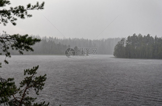 森林湖夏季强降雨图片