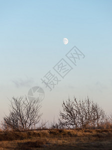 冬天日落月亮和飞机图片