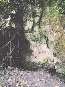 拉脱维亚高哈斯公园的古老砂岩悬崖上刻有铭文图片