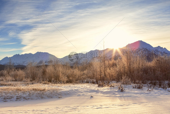 东阿拉斯加Chilkat山后面的冬季日落图片