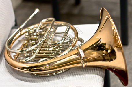 音乐厅里的圆号管乐器法国号喇叭古典音乐会图片素材