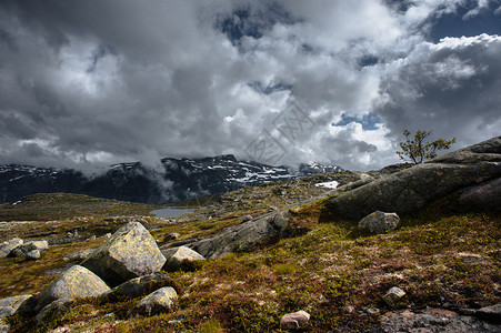 挪威Ringedalsvatnet湖奥达的Trolltun图片