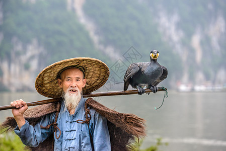 广西阳朔漓江上的鸬鹚渔夫和他的鸟图片