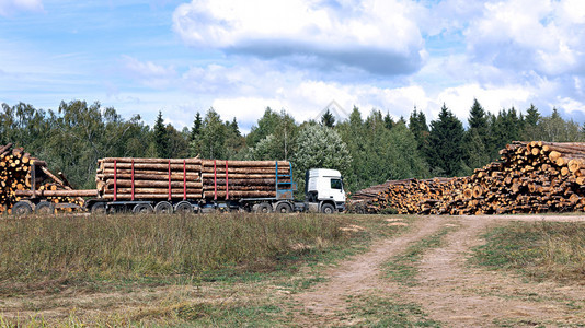 大型木材运输船的原木运输图片