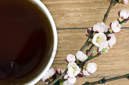 茶桌上有杏子花和树图片