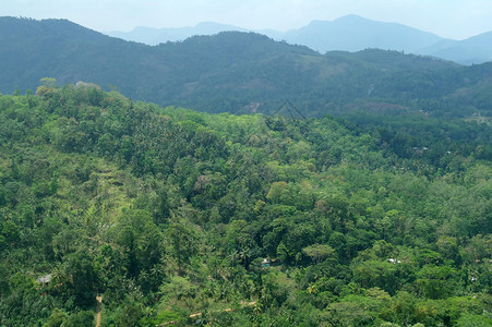 斯里兰卡风景图片