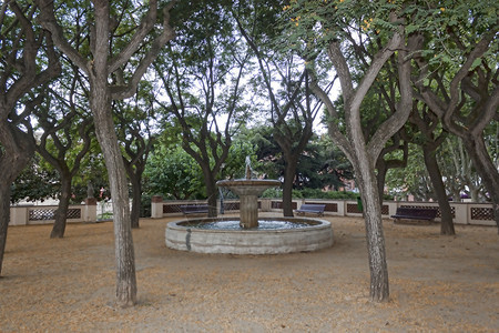达尔茂公园是散步的好地方它靠近市中心背景图片