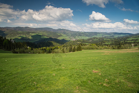 波兰塔特里山脉和皮涅尼山脉的风景山丘山图片