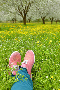 粉红色鞋脚在绿色图片