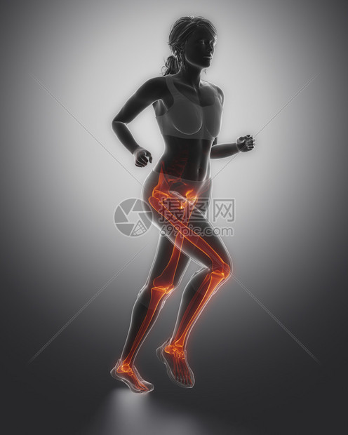 以腿部骨骼解剖学为重点的跑步人图片