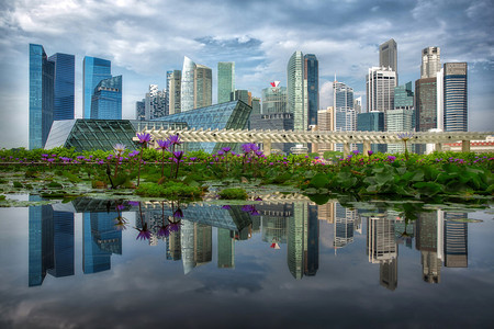 从莲花便倒影的新加坡城市景观图片