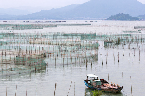 海中大型螃蟹养殖场的网水产养殖是霞浦县东部沿海城镇图片