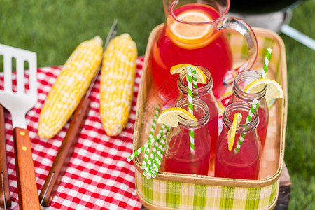 夏季野餐柠檬汁和图片