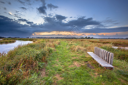 在荷兰沼泽地上吸引充满美好景色的现图片