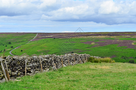 在约克郡英格兰的北约克摩尔人风景中以紫色羊毛闻名是19流行电视系图片